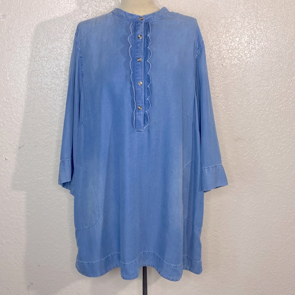 Melissa McCarthy denim blouse
